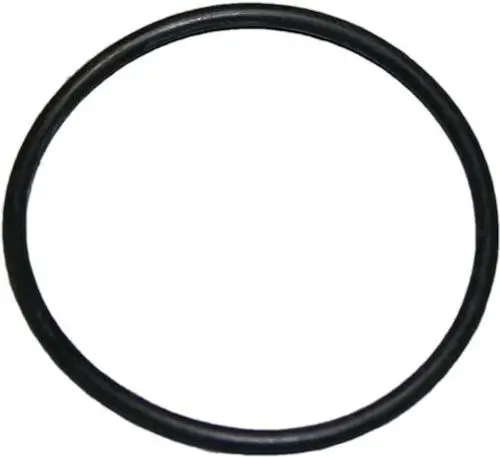 Schwarzer O-Ring von Bosch, ringförmig, mit glatter Oberfläche, geeignet für Dichtungen oder Abdichtungen in verschiedenen Anwendungen.